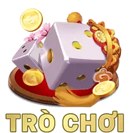 Chương trình hoàn trả